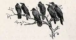 Bedroom and Boudoir p.43.jpg