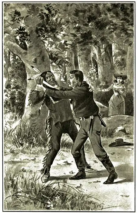 Boy Land Boomer P233.jpg