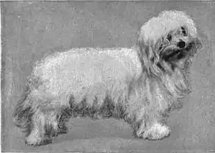 Britannica Dog 41.jpg