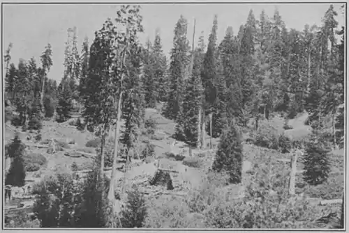 Climatic Cycles and Tree-Growth Plate 6B.jpg