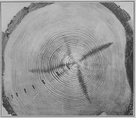 Climatic Cycles and Tree-Growth Plate 8A.jpg