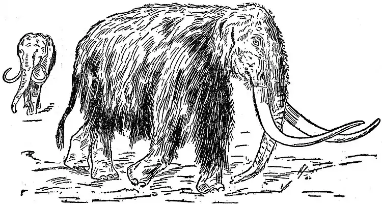 Collier's 1921 Mammoth.jpg