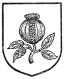 Fig. 495.—Pomegranate.