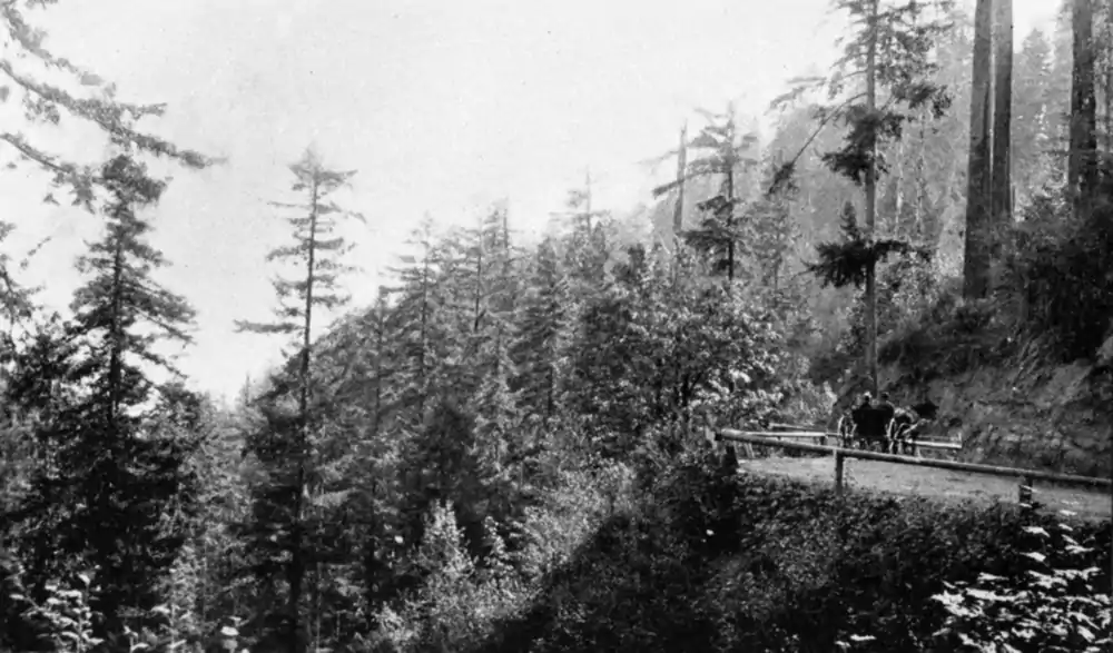 Cornell Road from Atlantis Arisen.png