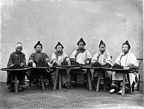 COUNTRY WOMEN CULLING TEA (NEAR SING CHANG)