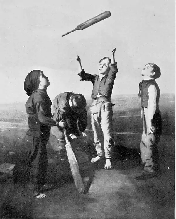 Cricket (Hutchinson) 0010.jpg