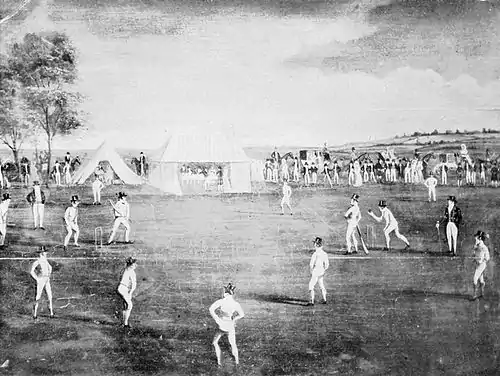 Cricket (Hutchinson) 0070.jpg