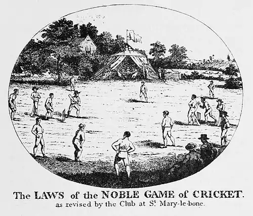 Cricket (Hutchinson) 0071.jpg