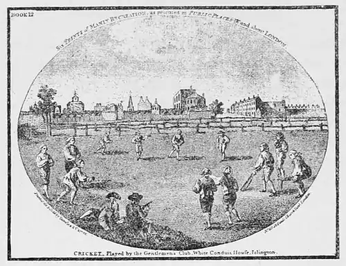 Cricket (Hutchinson) 0096.jpg
