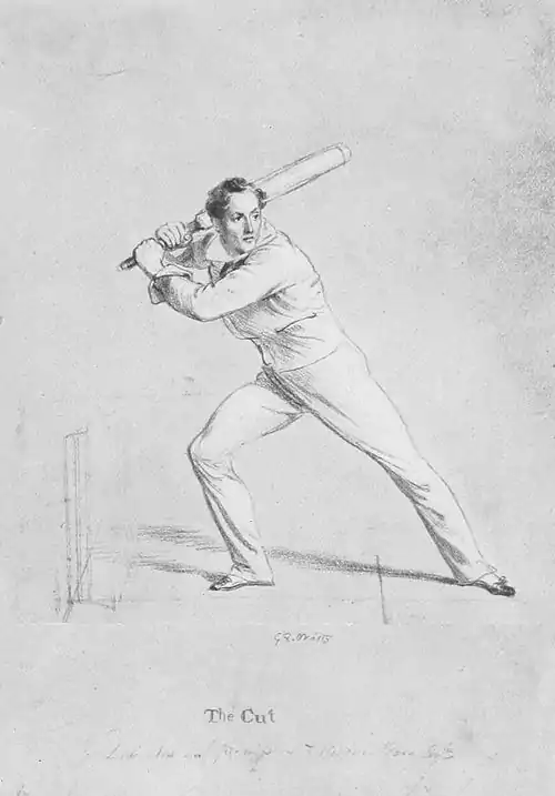 Cricket (Hutchinson) 0120.jpg