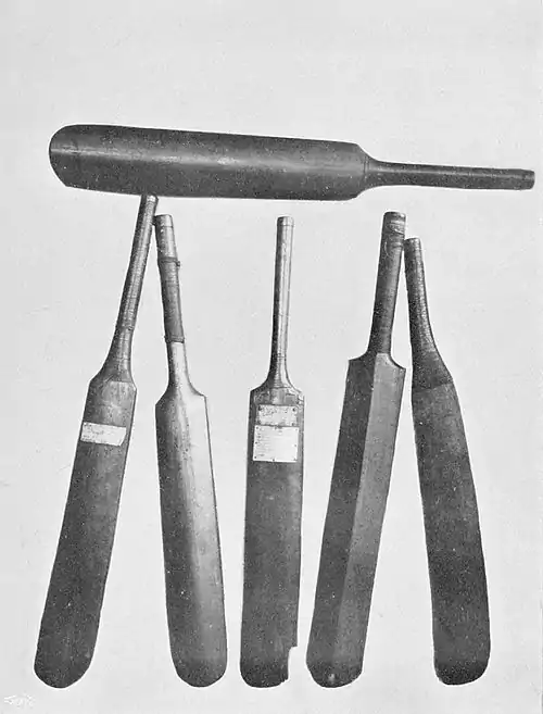 Cricket (Hutchinson) 0129.jpg