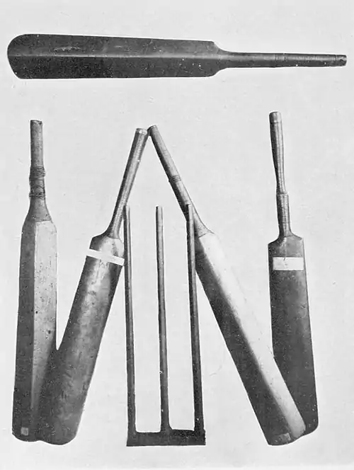 Cricket (Hutchinson) 0130.jpg