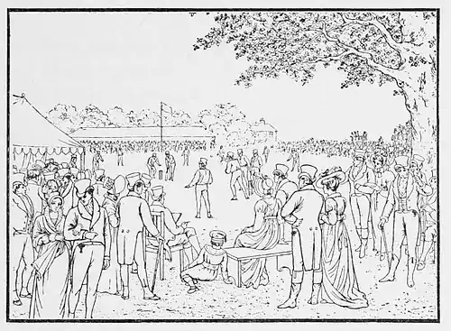 Cricket (Hutchinson) 0191.jpg