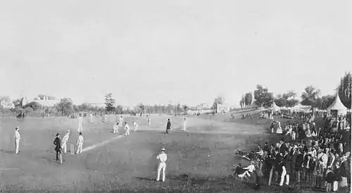 Cricket (Hutchinson) 0200.jpg