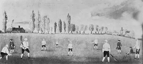 Cricket (Hutchinson) 0227.jpg