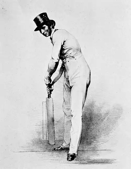 Cricket (Hutchinson) 0239.jpg