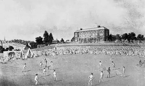Cricket (Hutchinson) 0279.jpg