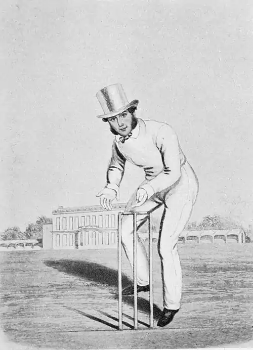 Cricket (Hutchinson) 0321.jpg