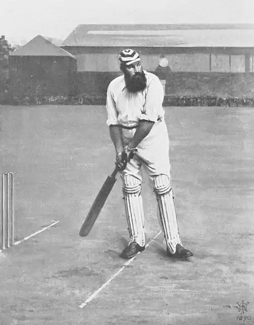 Cricket (Hutchinson) 0329.jpg