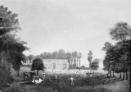 Cricket (Hutchinson) 0473.jpg