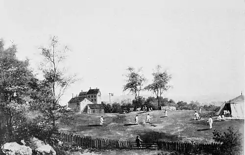 Cricket (Hutchinson) 0484.jpg