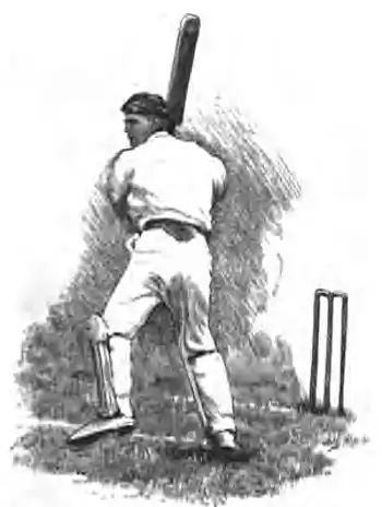 Cricket (Steel, Lyttelton) 0101.jpg