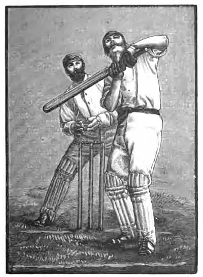 Cricket (Steel, Lyttelton) 0165.jpg