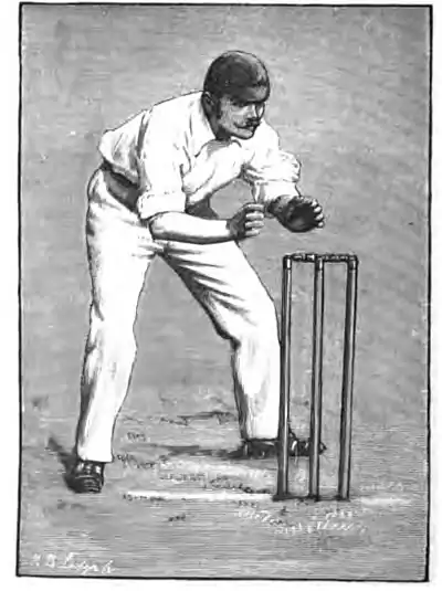 Cricket (Steel, Lyttelton) 0238.jpg