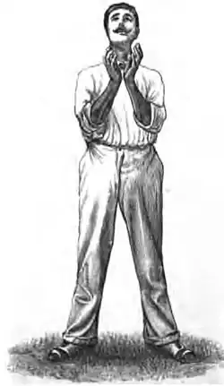 Cricket (Steel, Lyttelton) 0274.jpg