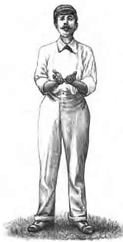 Cricket (Steel, Lyttelton) 0275.jpg