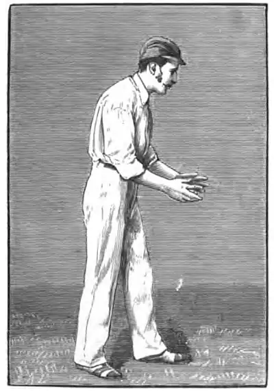 Cricket (Steel, Lyttelton) 0285.jpg