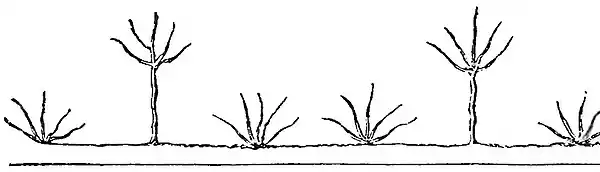Domestic Encyclopedia 1802 vol3 p314.jpg