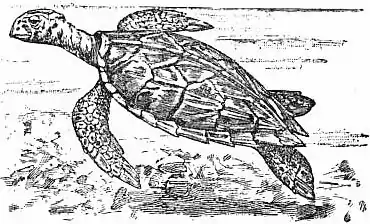 EB1911 - Flight - Fig. 2.jpg