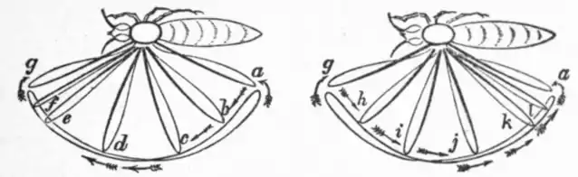 EB1911 - Flight - Fig. 20, 21.png