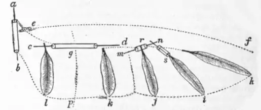 EB1911 - Flight - Fig. 24.png