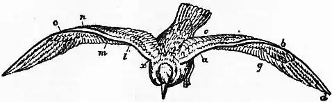 EB1911 - Flight - Fig. 33.png