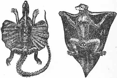 EB1911 - Flight - Fig. 6.jpg