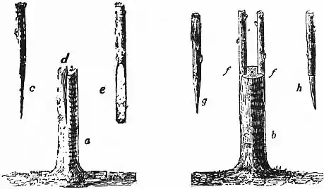 EB1911 - Horticulture - Fig. 17., 18.—Cleft- and Crown-grafting.jpg