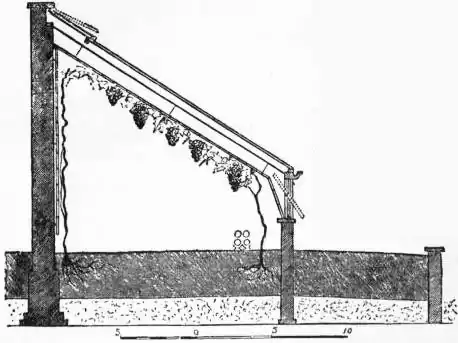 EB1911 - Horticulture - Fig. 5.—Lean-to Vinery.jpg