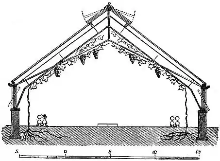 EB1911 - Horticulture - Fig. 7.—Span-Roofed Vinery.jpg