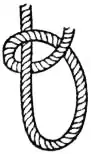 EB1911 - Knot - Fig. 10 - Half-Hitch.jpg