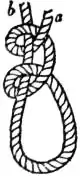 EB1911 - Knot - Fig. 11 - Two Half-Hitches.jpg