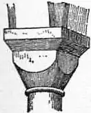 EB1911 Capital Fig. 11.—Cushion Capital.jpg