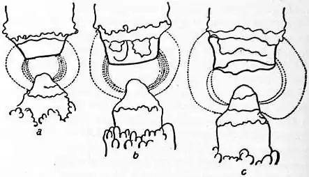 EB1911 Conduction, Electric - Fig. 18.jpg