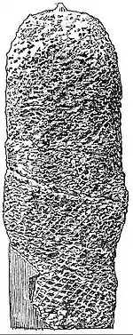 EB1911 Palaeobotany - Cycadeoidea gigantea.jpg