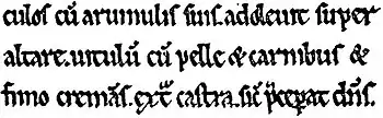 EB1911 Palaeography - Leviticus.jpg