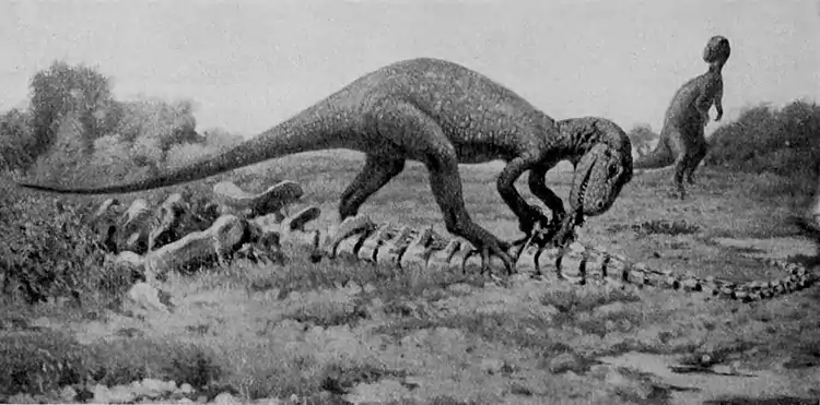 EB1911 Palaeontology - restoration of allosaurus.jpg