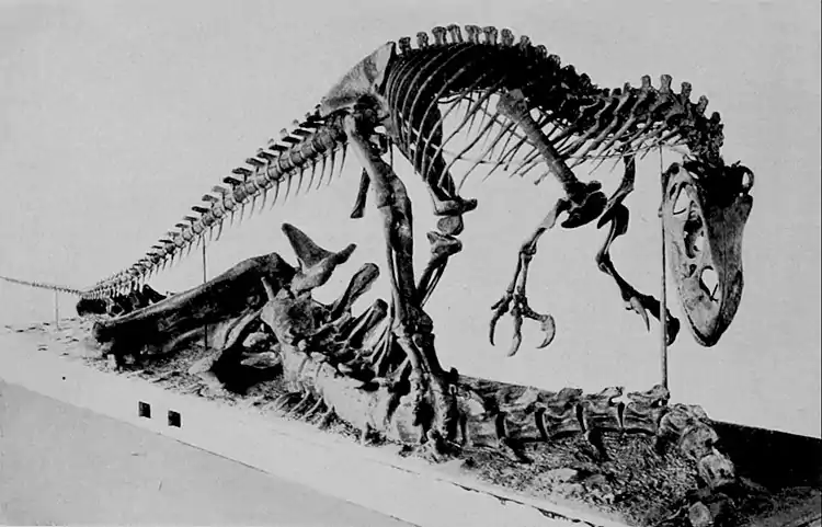 EB1911 Palaeontology - skeleton of allosaurus.jpg