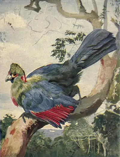 EB1911 Process (printing) - color separation - result.jpg