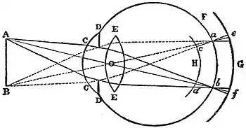 EB1911 Vision - Formation of Circles of Diffusion.jpg